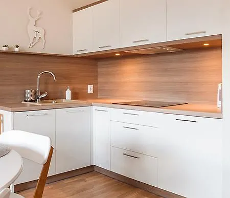 Apartamenty Sun & Snow Rezydencja Park Großmöllen Exterior foto